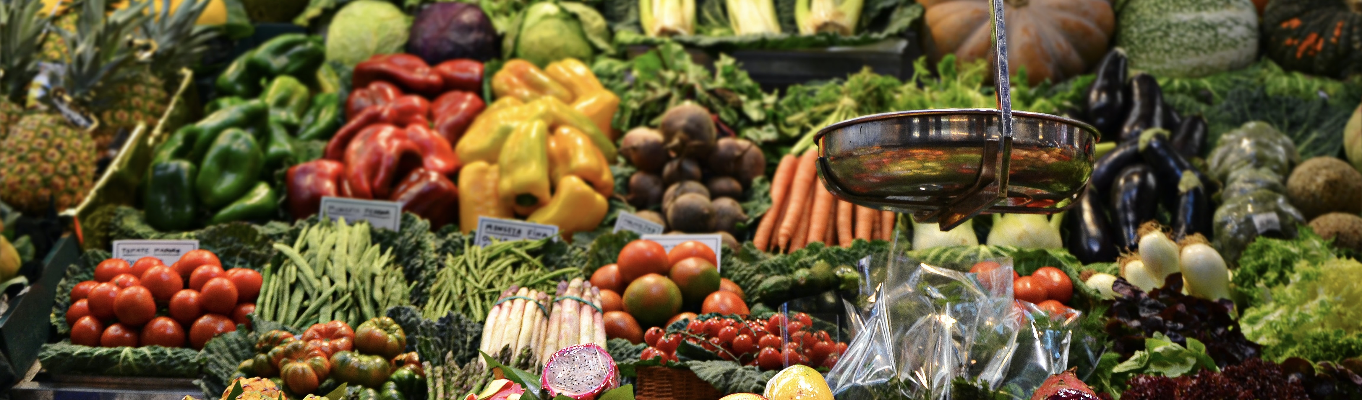 Why Nutrition Matters